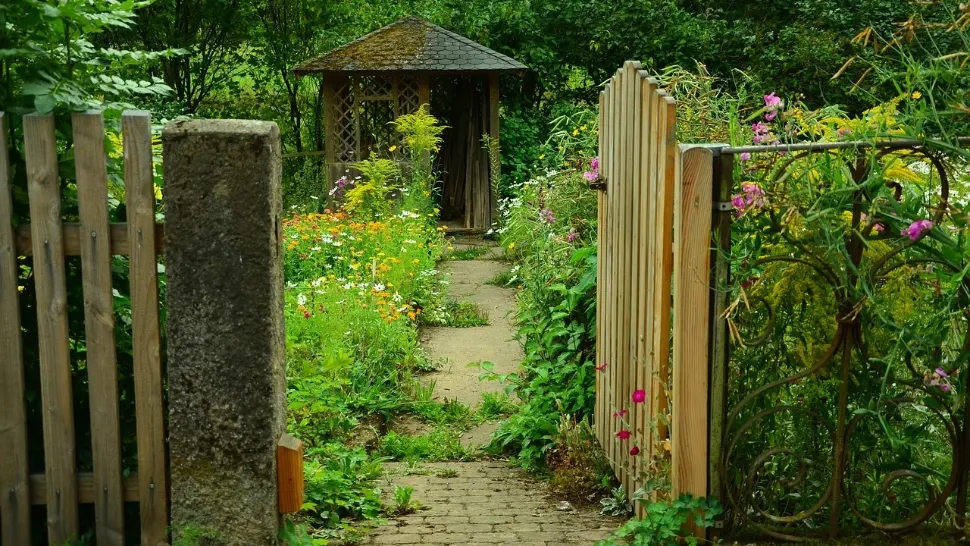 Primăriile au demarat controale. Românii care stau la curte pot primi amenzi de până la 5.000 de lei