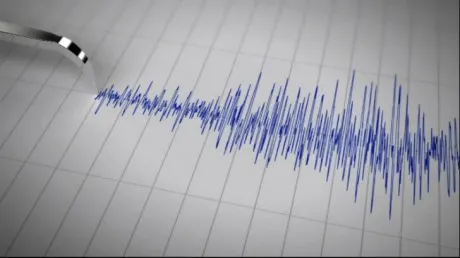 Cutremurul s-a resimțit la Vaslui și Bârlad