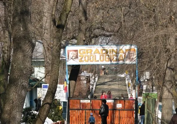 O adolescentă a fost la un pas să fie mutilată de un urs la Zoo Bârlad