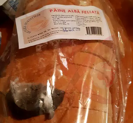 ȘOCANT. Un șoarece mort, descoperit într-o pungă cu pâine!