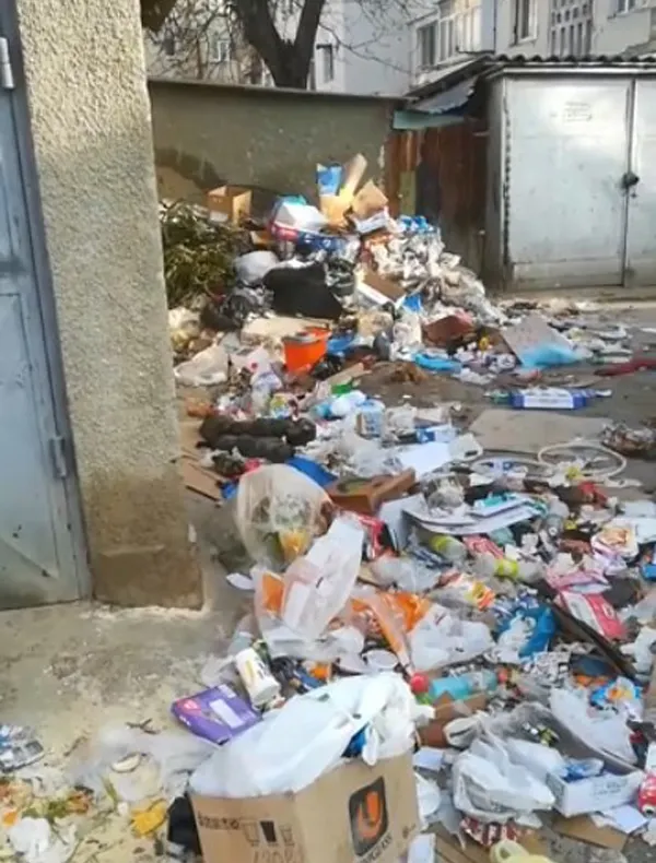Gunoaiele, o problemă pentru autoritățile din orașul Negrești