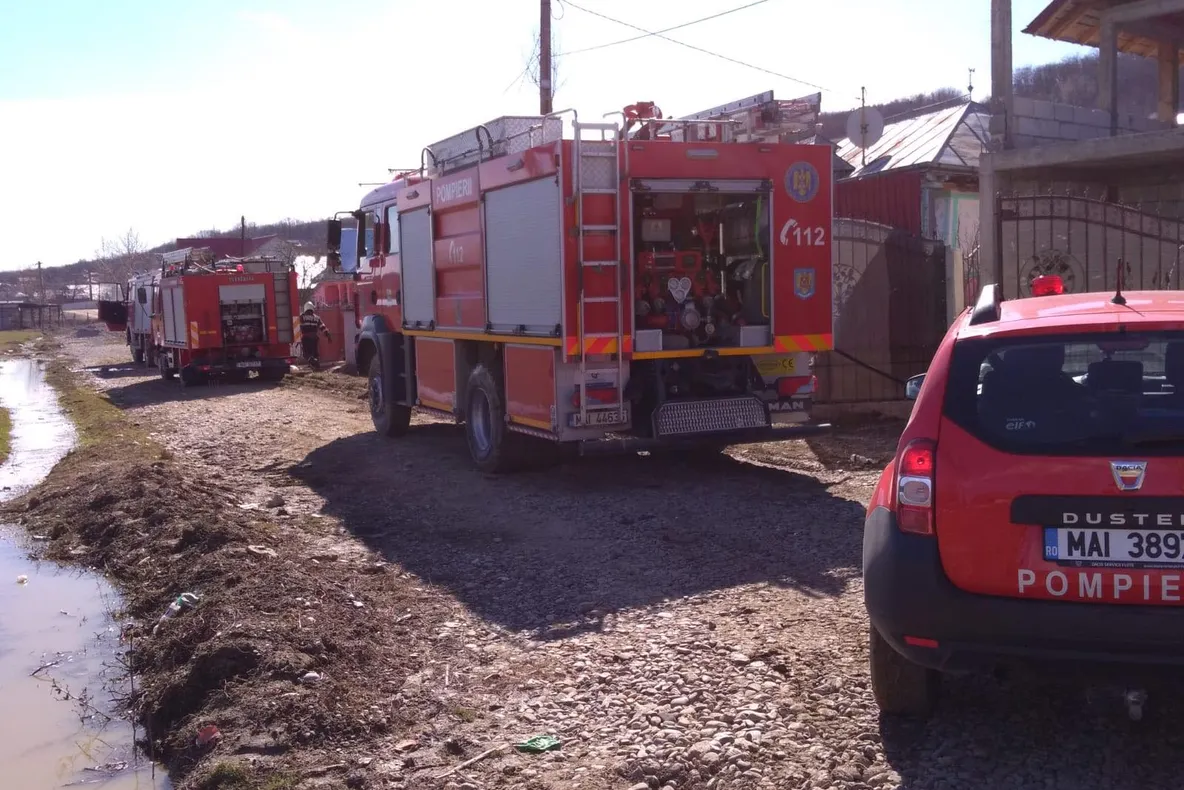 Forțe impresionante pentru stingerea unui incendiu de vegetație la Doagele