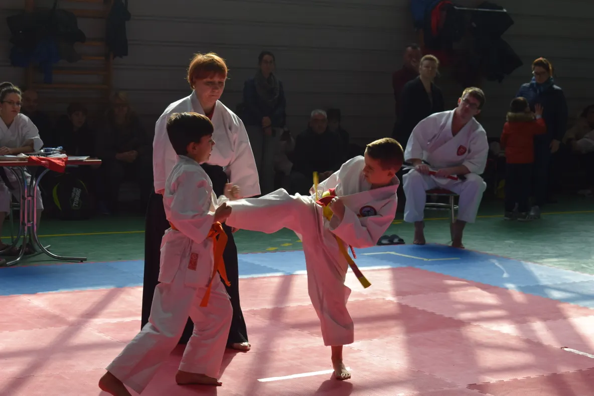 GALERIE FOTO: Cei mai buni karateka din zona Moldovei au concurat la Vaslui