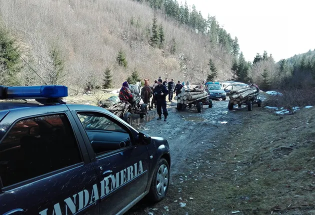 Urmărit general, prins de jandarmii vasluieni