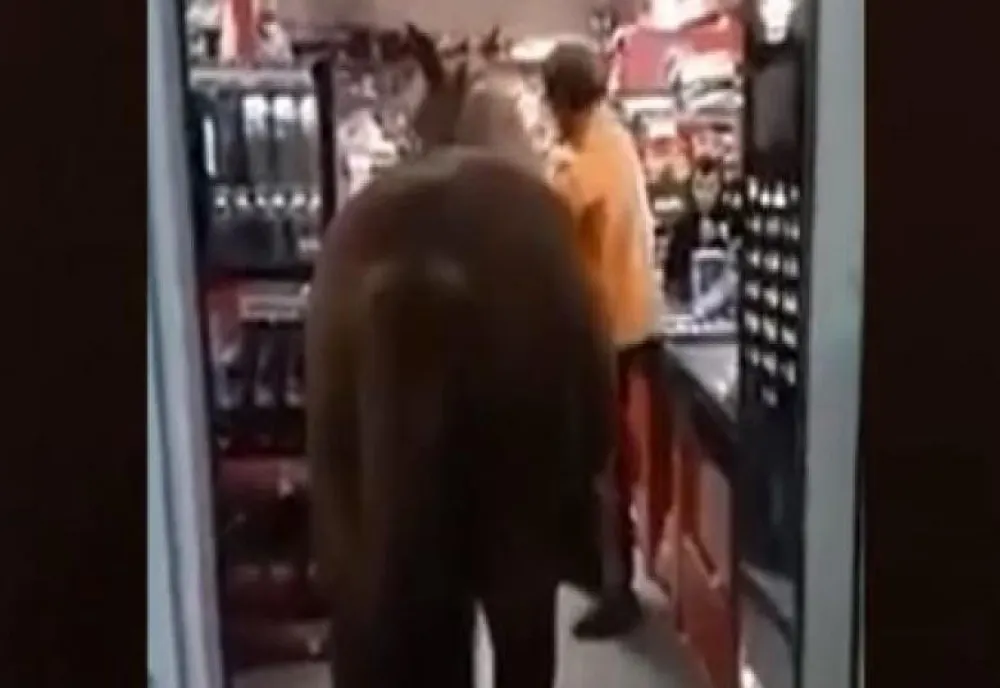  VIDEO | Scene rare: un bărbat a intrat cu calul în magazin!