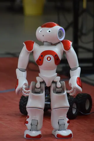 Roboțica Nao, vedeta Concursului Național Robotech