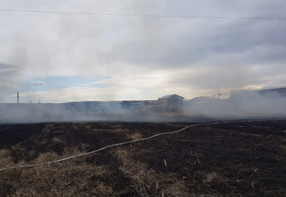 Incendiu de vegetație la intrare în Bârlad. Traficul rutier a fost afectat pe DE 581 - FOTO&amp;VIDEO