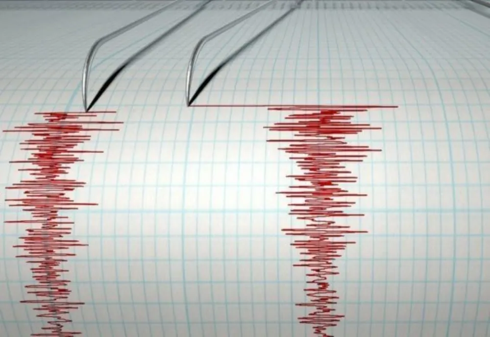 CUTREMUR în Vrancea! Seismul s-a resimțit și la Bârlad