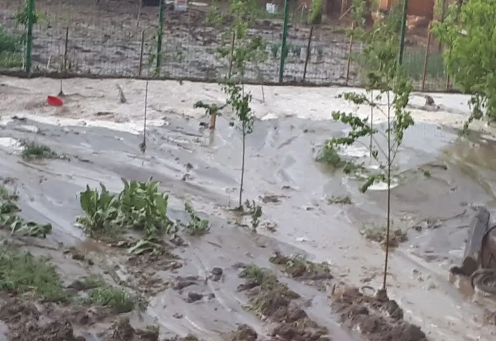 Zone inundate de viituri în urma ploilor în Zorleni și Popeni - VIDEO