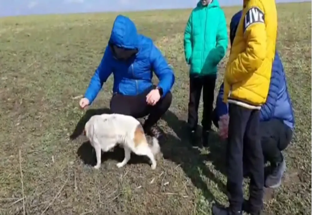 VIDEO EMOȚIONANT: Un câine căzut într-o fosă, salvat de spiritul de observație a doi copii  