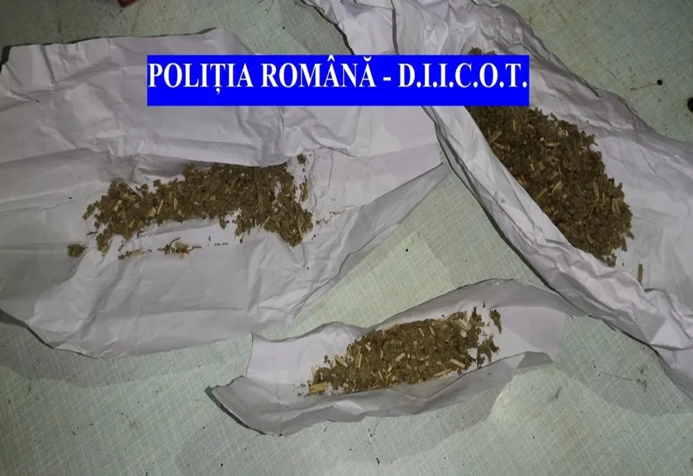 Descinderi la traficanții de droguri în Bârlad, Vaslui și județul Ilfov