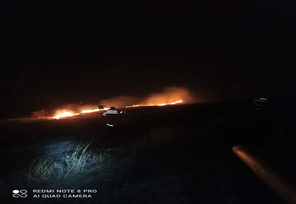 Incendiu de vegetație în comuna Stănilești - VIDEO