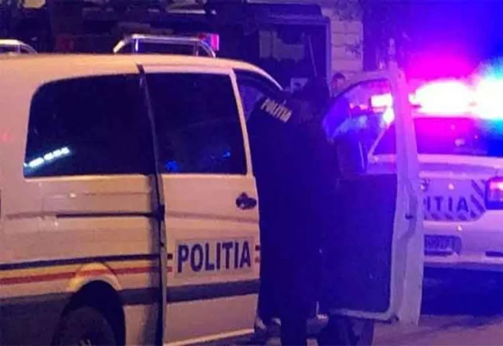 Bătaie între patru tineri într-un bar din Valea Mare