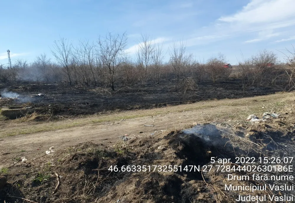 Peste 15 locuințe amenințate de flăcări în Vaslui. Pompierii au intervenit prompt - VIDEO