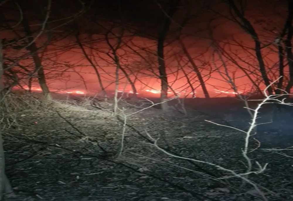 Incendiu violent de vegetație în județul Vaslui. Pompierii au intervenit de urgență