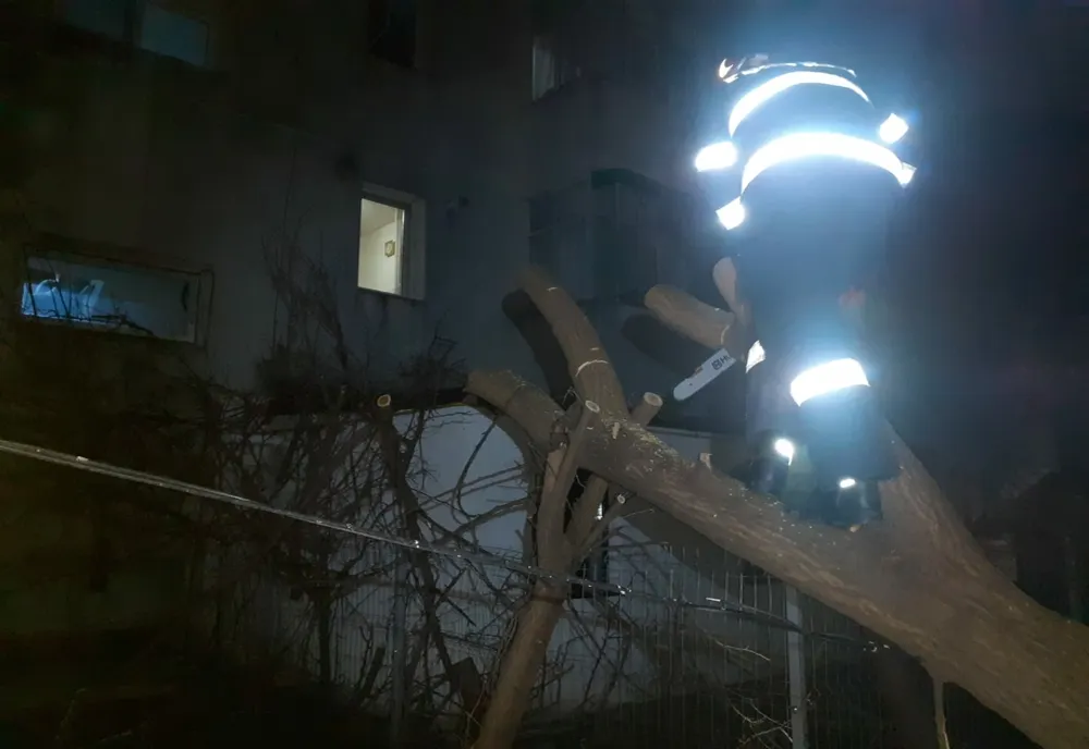 Copac căzut în apropierea unei clădiri din municipiul Bârlad. A fost nevoie de intervenția pompierilor