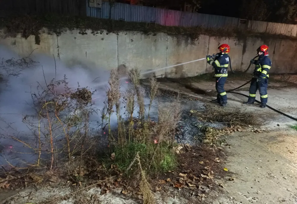 Incendiu de vegetație la  Gura Bustei