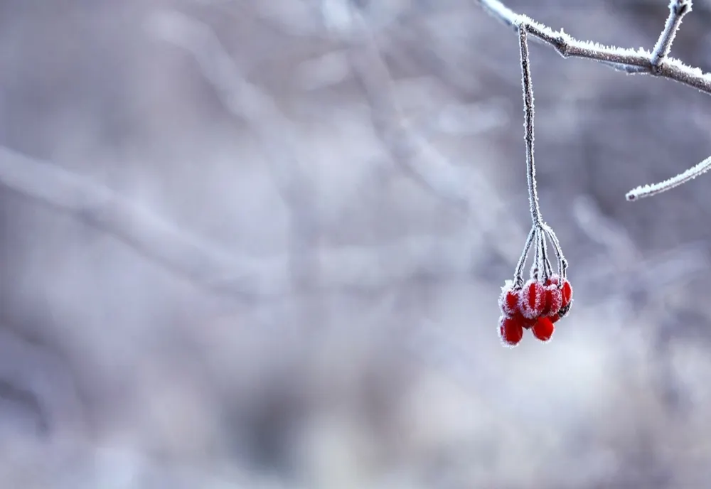 Prognoza meteo 16 decembrie. Vremea extremelor - temperaturi de 17 grade și vânt cu viteze de peste 100 km/h