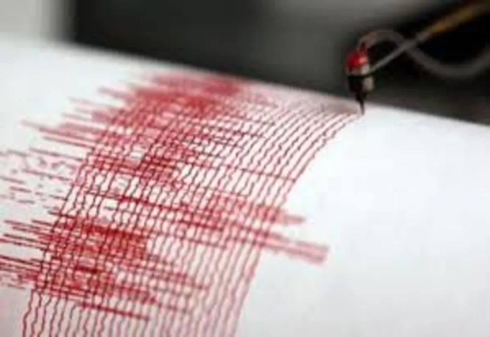 CUTREMUR DE 4 GRADE ÎN ZONA SEISMICĂ VRANCEA