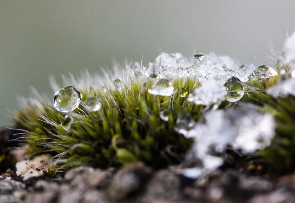 Vremea o ia razna în plină iarnă. Ce fenomen meteo urmează să ne creeze probleme în zilele următoare