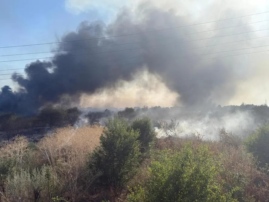 Incendiu de vegetație în Vaslui: focul a ars 500 de metri pătrați și s-a apropiat periculos de o casă