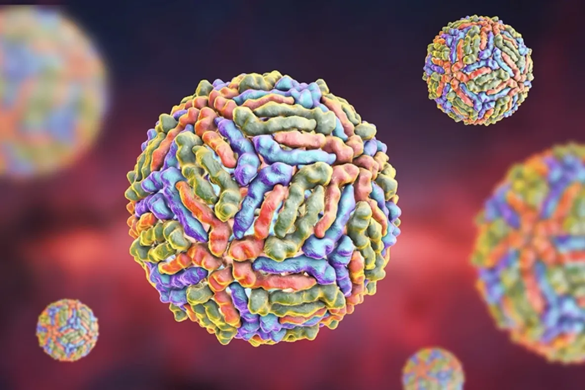 INSP: 2 cazuri de infecție cu virusul West Nile, confirmate în județul Vaslui în 2026