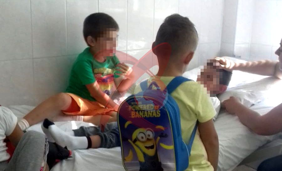 Copii de grădiniță înțepați de albine în Grădina Publică