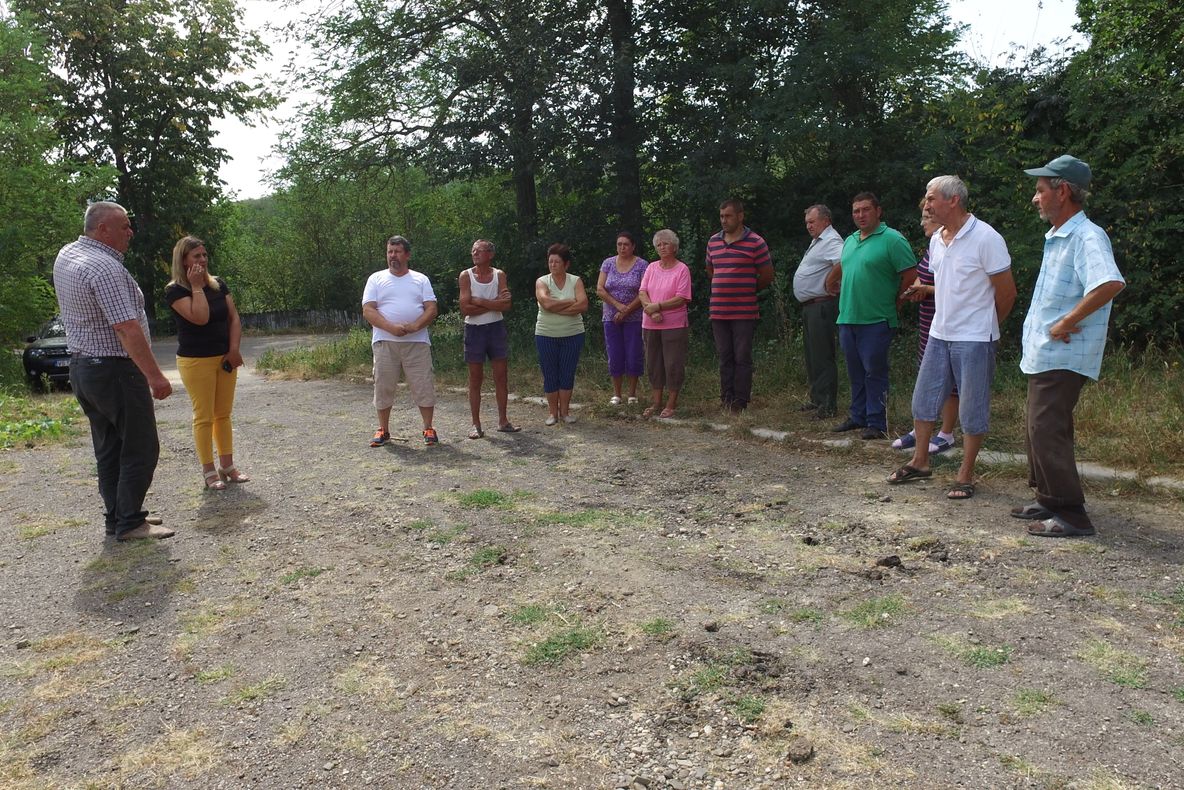 FOTO&amp;VIDEO: O haită de câini a transformat în coșmar viața unor familii din Lipovăț