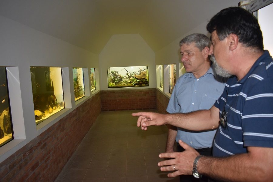 Acvariul Grădinii Zoo din Bârlad, modernizat și funcțional