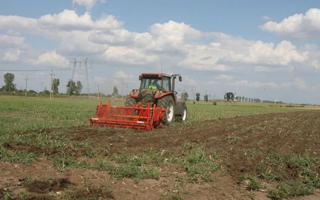 Aproape 100.000 de hectare însămânțate în Vaslui
