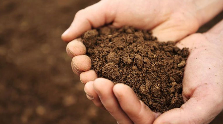 Vasluiul afectat de o secetă severă