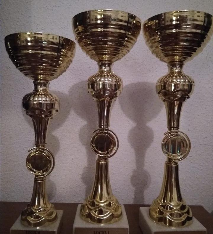 Trofee pentru actorii de la LMK Vaslui