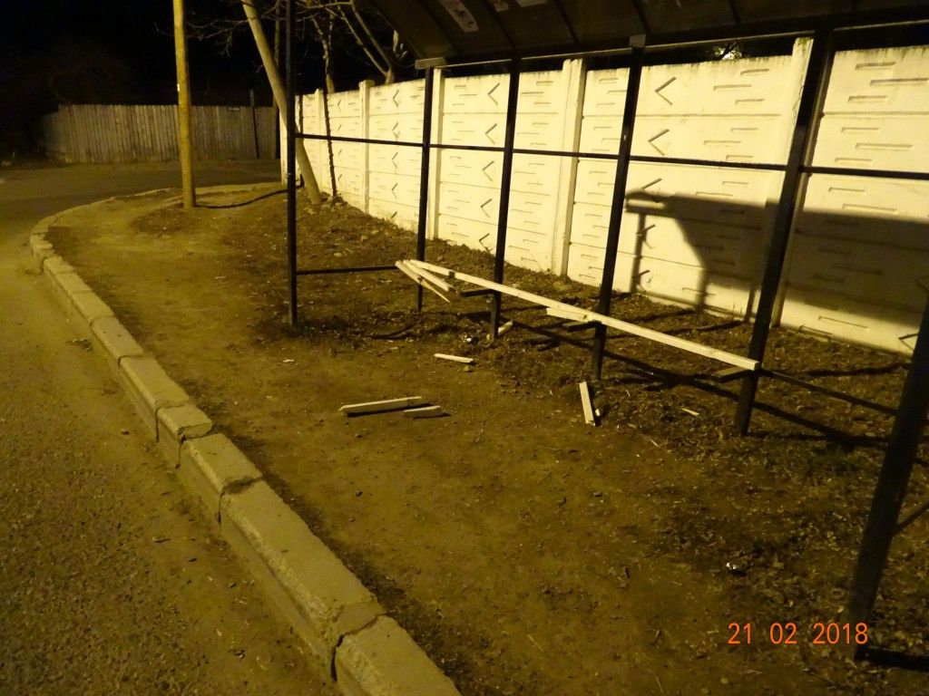 Doi minori din Bârlad, prinși de Poliția Locală după ce au rupt o bancă și mai mulți copăcei