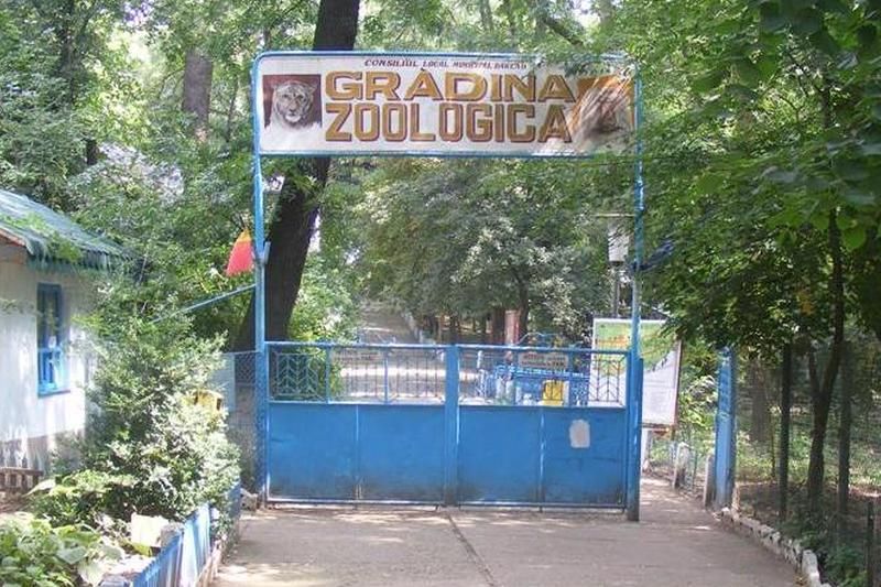Grădina Zoologică din Bârlad vinde 30 de animale și păsări