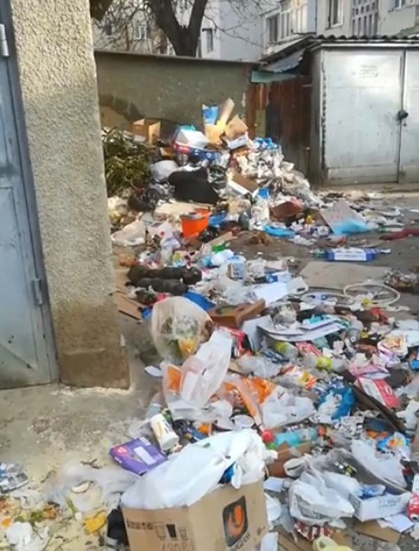 Gunoaiele, o problemă pentru autoritățile din orașul Negrești