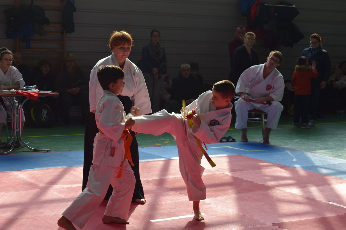 GALERIE FOTO: Cei mai buni karateka din zona Moldovei au concurat la Vaslui