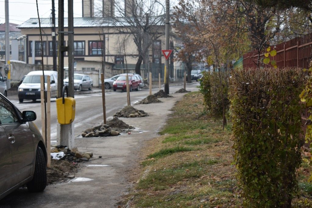 Zestrea verde a Bârladului bate record după record
