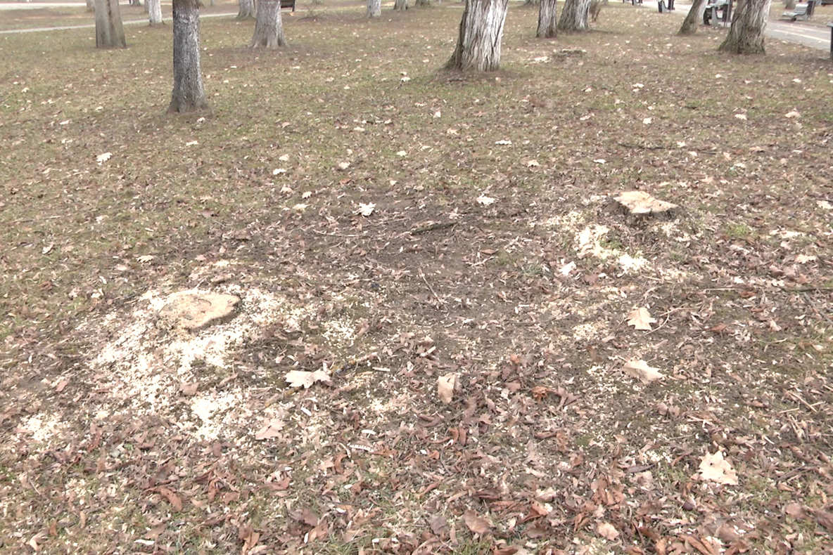 ACCIDENT GRAV în apropiere de Bârlad. Un bărbat a murit pe loc. FOTO