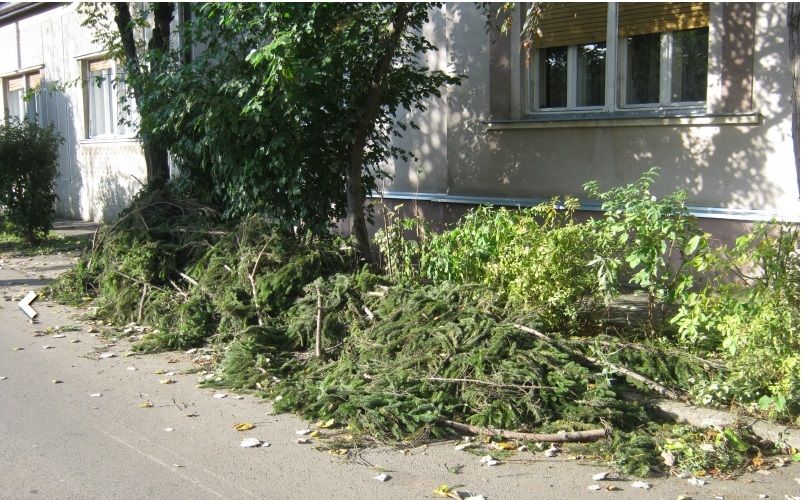 ATENȚIE BÂRLĂDENI! În weekend, mașinile CUP S.A. vor ridica deșeurile vegetale.