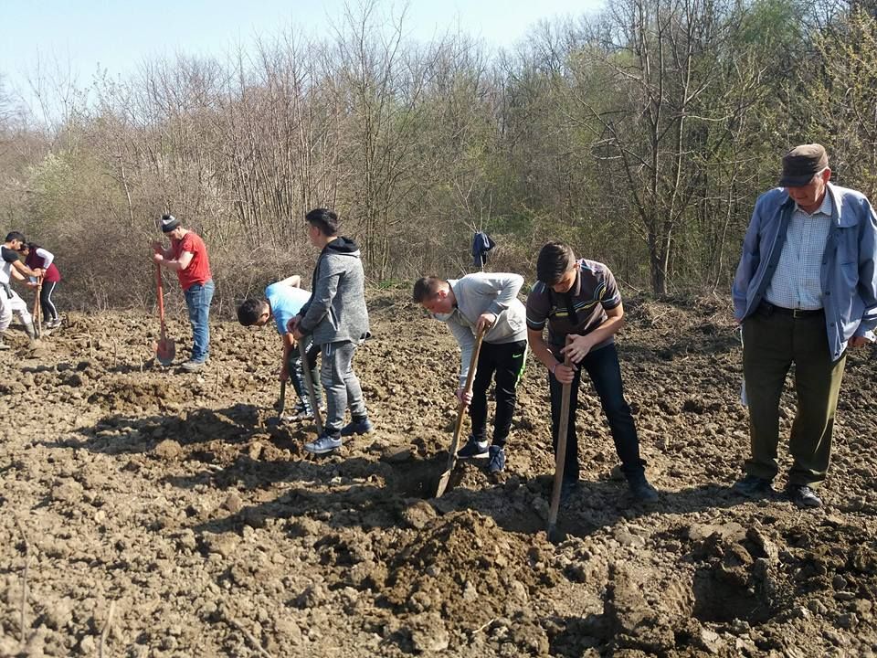 Direcția Silvică Vaslui a dat startul "Lunii Plantării Arborilor"