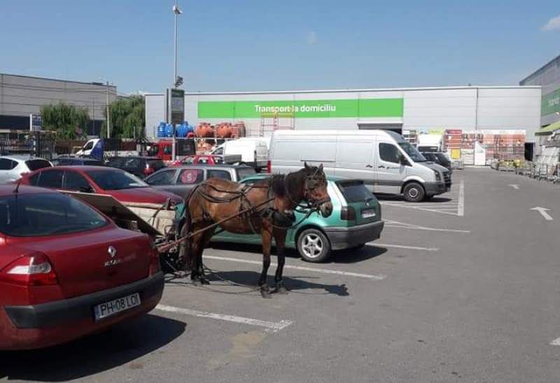 Un bărbat din Epureni, în stare gravă la spital după ce a căzut din căruță