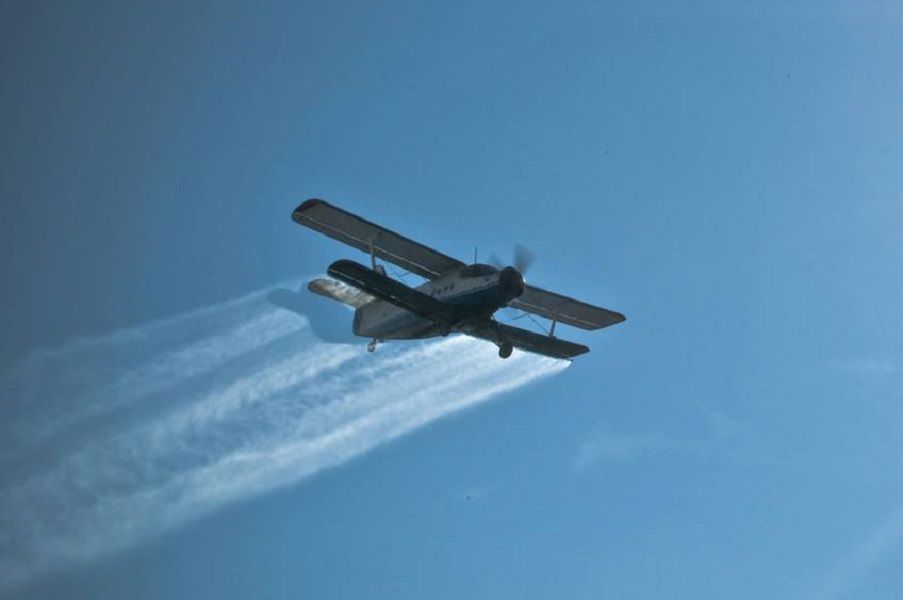 În prag de iarnă, Primăria Bârlad mai dă o luptă cu muștele și țânțarii