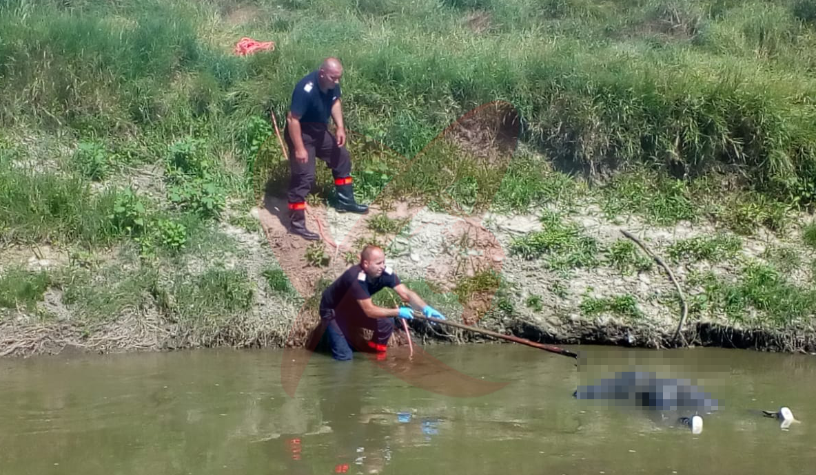 Cadavru în stare de putrefacție pe râul Bârlad, în dreptul localității Tutova