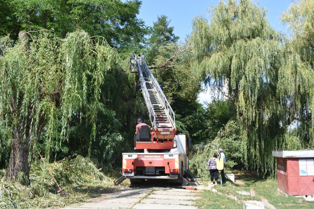 A început reamenajarea Zonei „Prodana”!