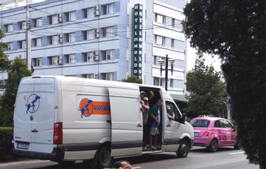 POZA ZILEI. La capturat câini, ca „trupele speciale”!