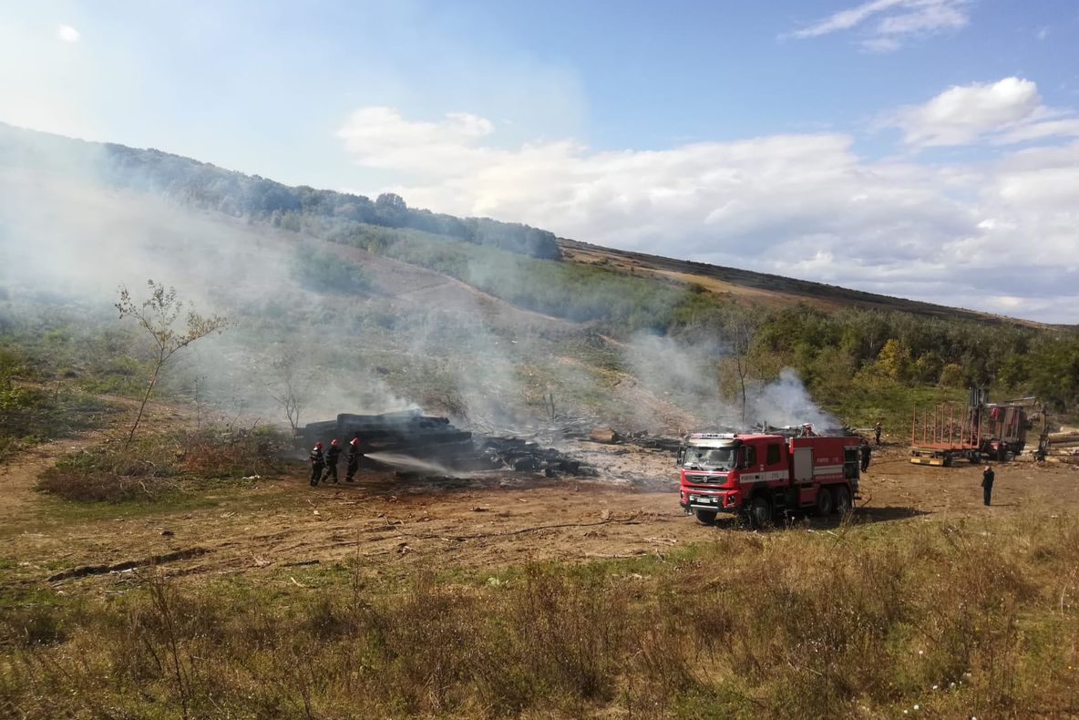 Incendiu lângă o pădure de lângă localitatea Alexandru Vlahuță