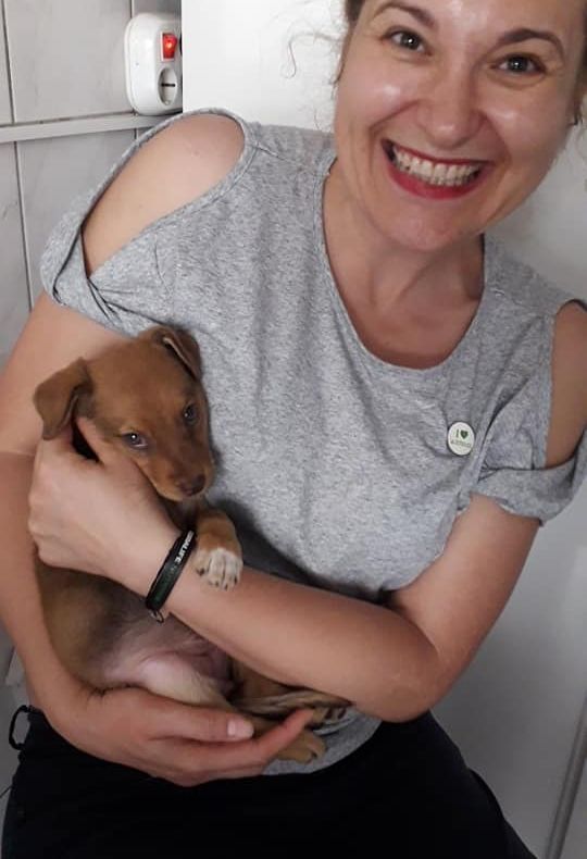 Invitație la mișcare caritabilă!