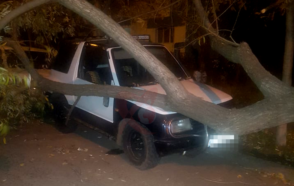 POZA ZILEI. Copac căzut peste o mașină la Bârlad, din cauza rafalelor de vânt