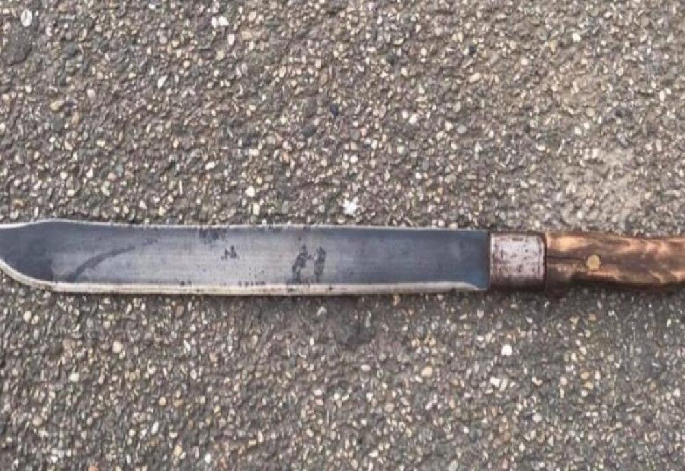 Echipă care făcea campanie electorală pentru Viorica Dăncilă, atacată cu maceta!