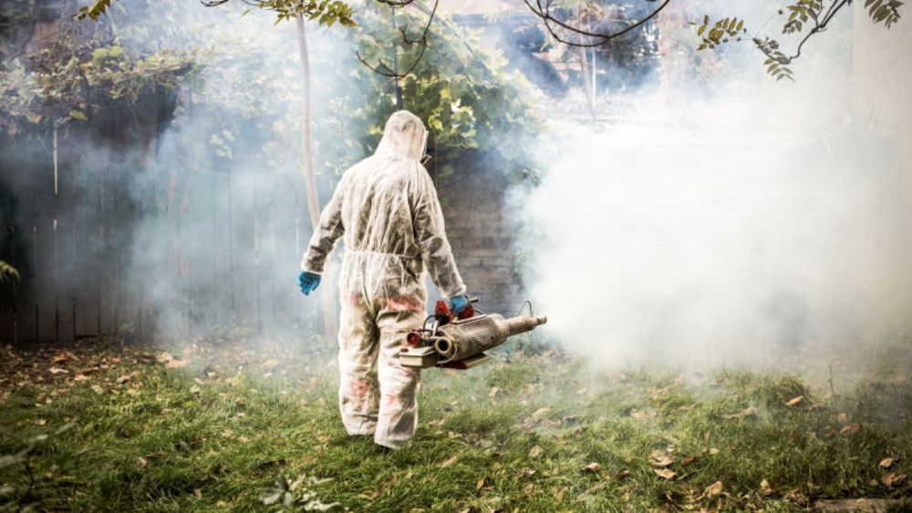 Trei firme de deratizare, dezinsecție și dezinfecție din județul Vaslui s-au ales cu dosare penale pentru nereguli